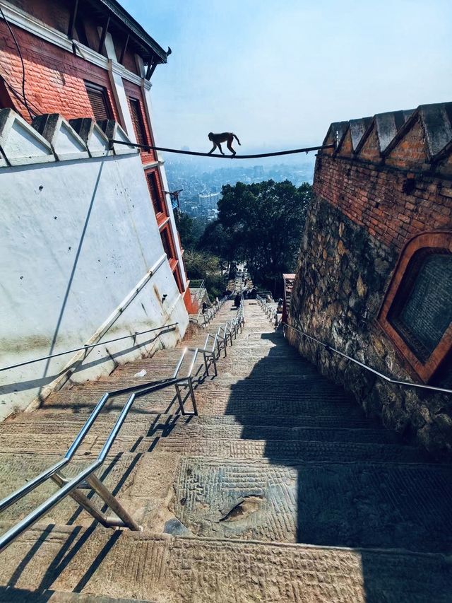 尼泊爾｜古老的佛教聖蹟—斯瓦揚布納特寺