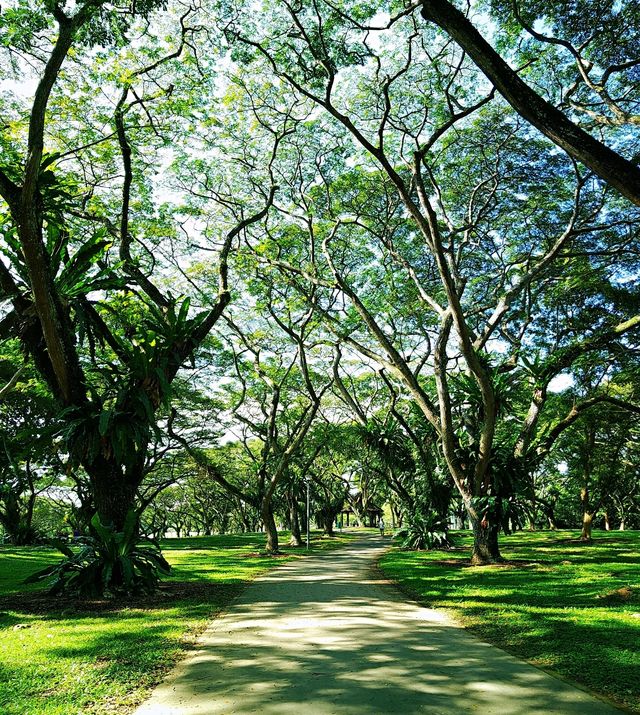 巴西立公園｜漫步海灘，休閒娛樂