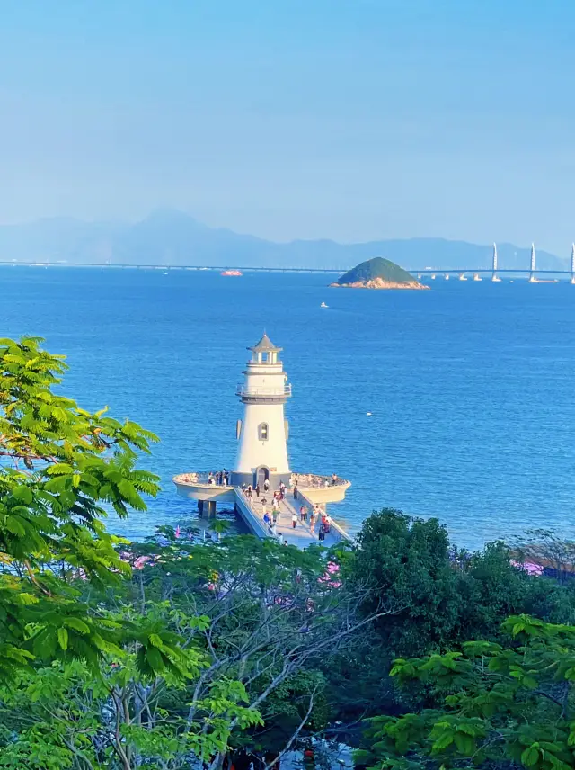 Guangdong Spotlight | Winter is perfect for a vacation in Zhuhai! New Year's travel guide