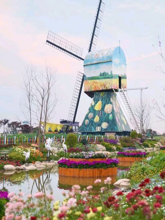 Dutch Flower Sea in Yancheng 🇨🇳 