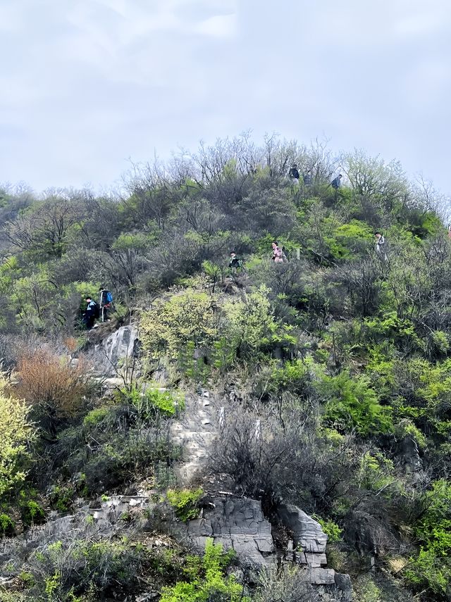 鄭州100個免費遊玩寶藏景點——青龍山