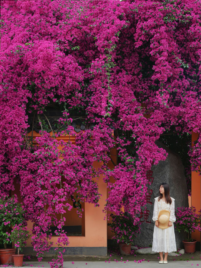 The ancient temple, surrounded by oleanders, on the outskirts of Chengdu remains undiscovered...