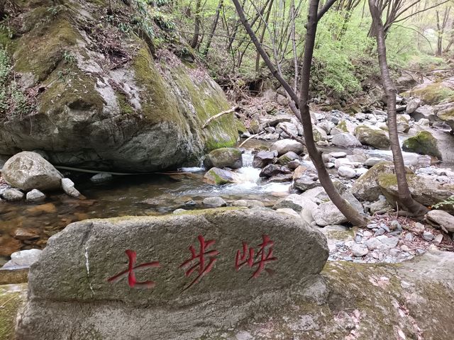 翠微硒谷
