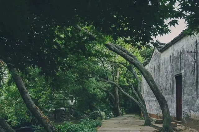 這個古鎮，總能讓人靜心