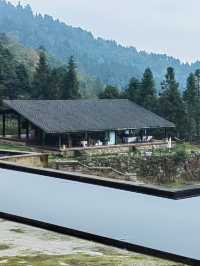 重慶墊江飛茑集—巴谷宿集，大山裡的田園民宿群