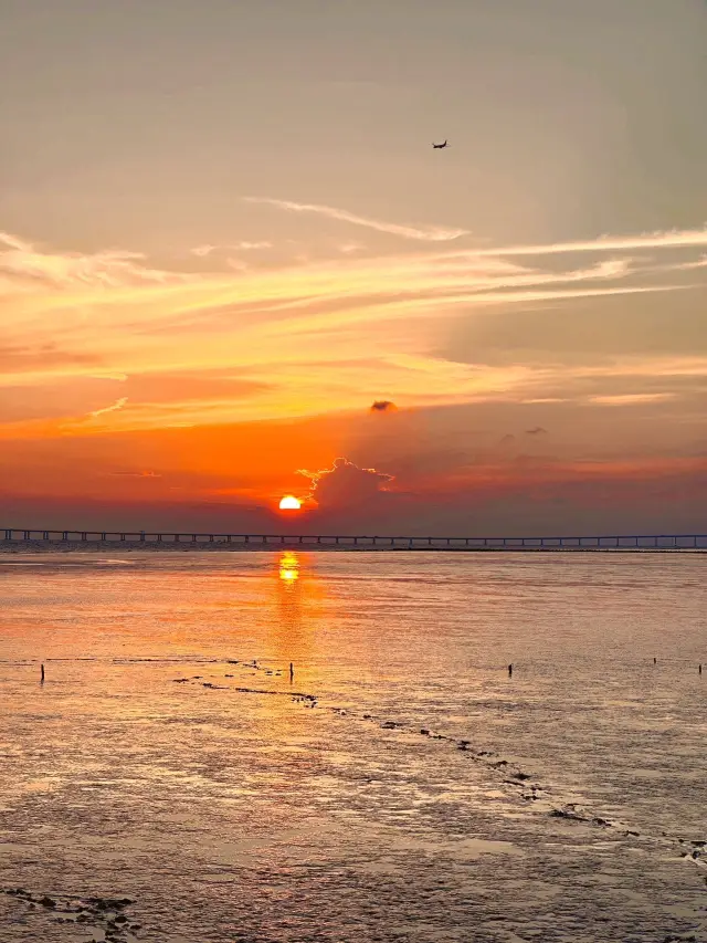 原來包車遊這麼方便！