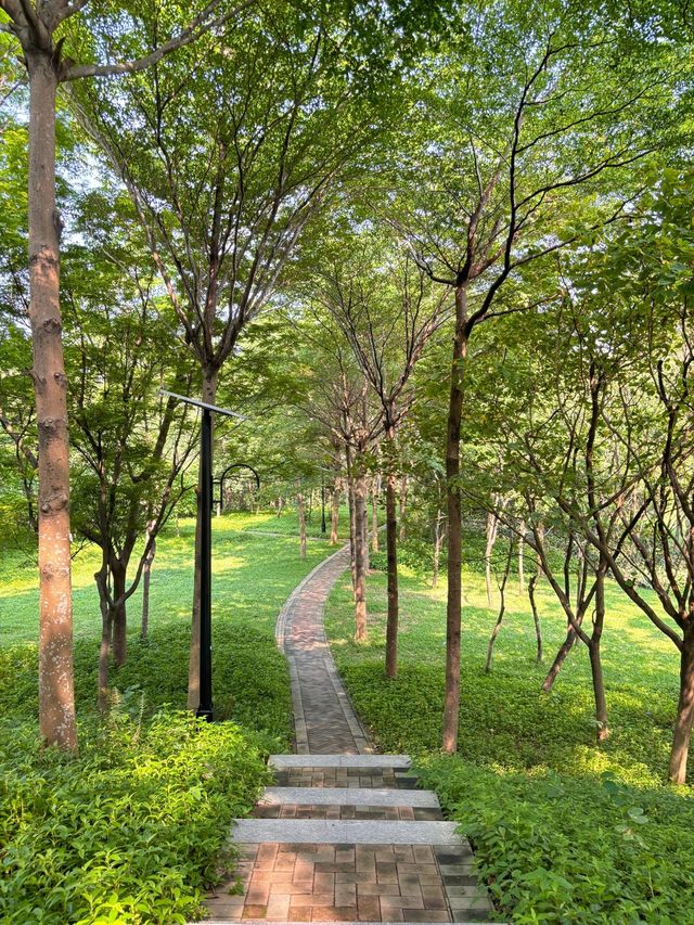 必去！不花錢！深圳公園天花板！