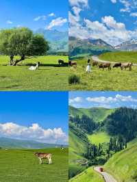 新疆旅遊-北疆全景10日遊
