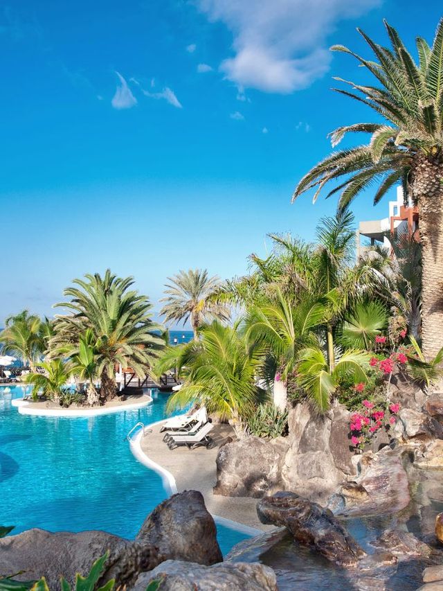 🌟 Canary Islands Charm: Top Hotel Picks! 🏝️✨