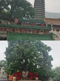 梅州上古歷史寺廟|靈光寺