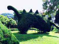 Costa-Rica Surreal Shapes