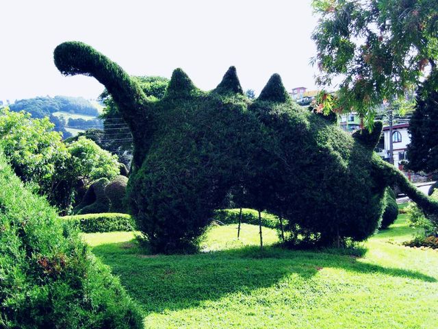 Costa-Rica Surreal Shapes