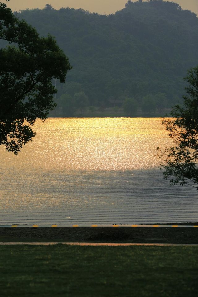 杭州花海 →來銅鑑湖看一場花海落日吧