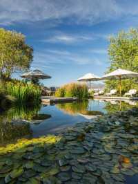 🍇✨ Cape Winelands' Hidden Gems: Boutique Stays! ✨🍷
