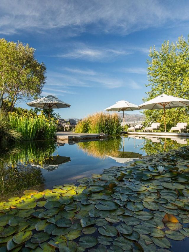 🍇✨ Cape Winelands' Hidden Gems: Boutique Stays! ✨🍷