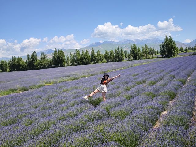 5月底在晃晃村浪費時間