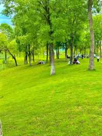 在成都！！！我唯一想去無數次的公園！！