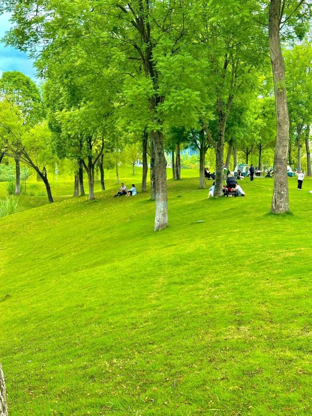 在成都！！！我唯一想去無數次的公園！！