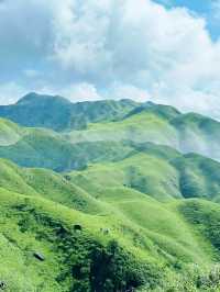 這裡既不是新疆，也不是武功山，是茂名三官山