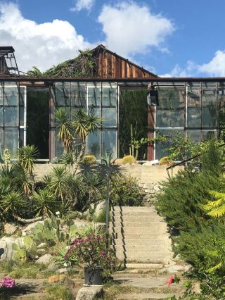 🌱Nikitsky Botanical Garden: A Green Paradise in Yalta🌸