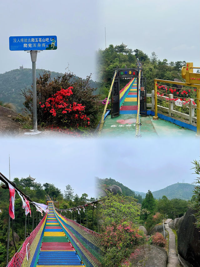 溫州攻略|浙南往南 怪石嶙峋的玉蒼山