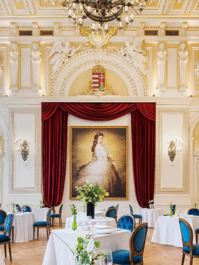 🌟 Budapest's Best: Ana Palace Hotel Highlights 🌟