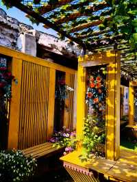 我的人生FIRST｜北京土著帶您胡同遊，大柵欄南火扇胡同