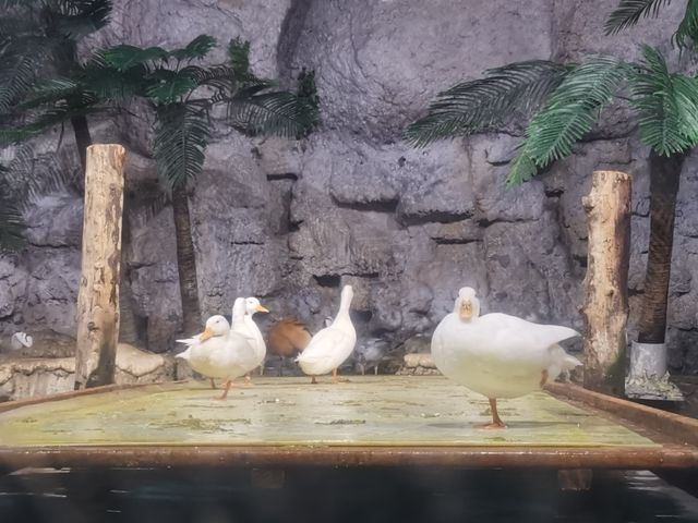 湘湖旁邊隱藏著的海洋館