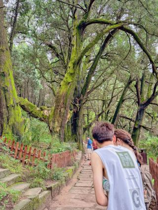 Where to go on the weekend with kids? Retrace the ancient Shu Road at Cuiyun Corridor