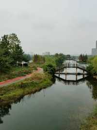 長沙周邊遊——洋湖濕地公園