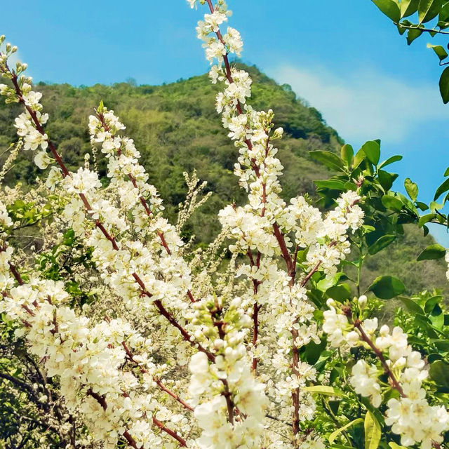 【8月好去處】游清遠水浪花谷，如入仙境