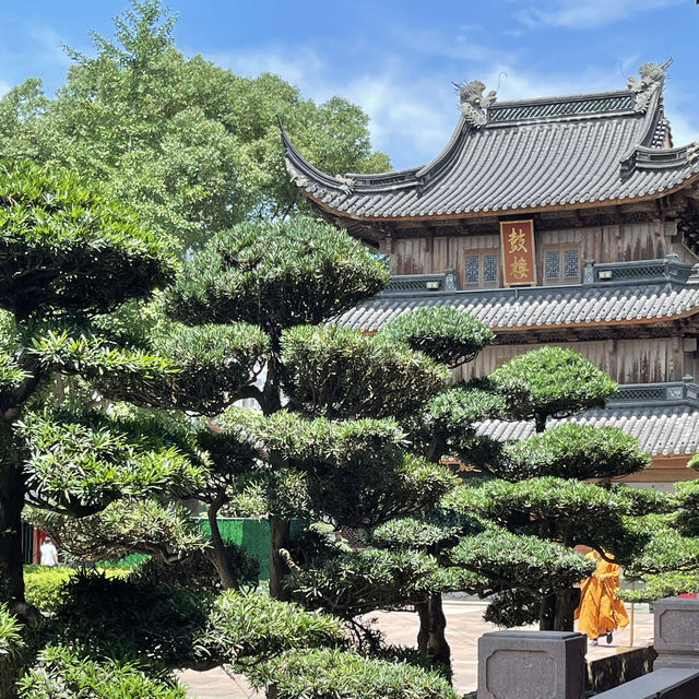 寧波寺廟行｜七塔禪寺