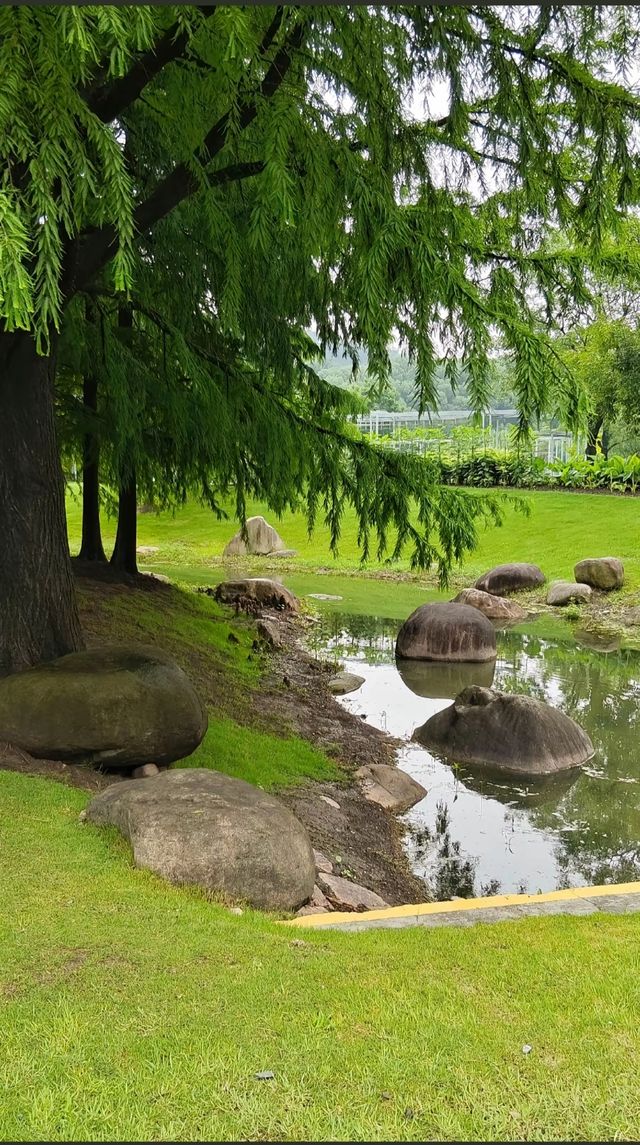 上海植物園