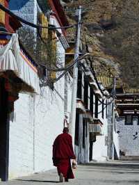 魅力西藏，藏传佛教寺廟——色拉寺。