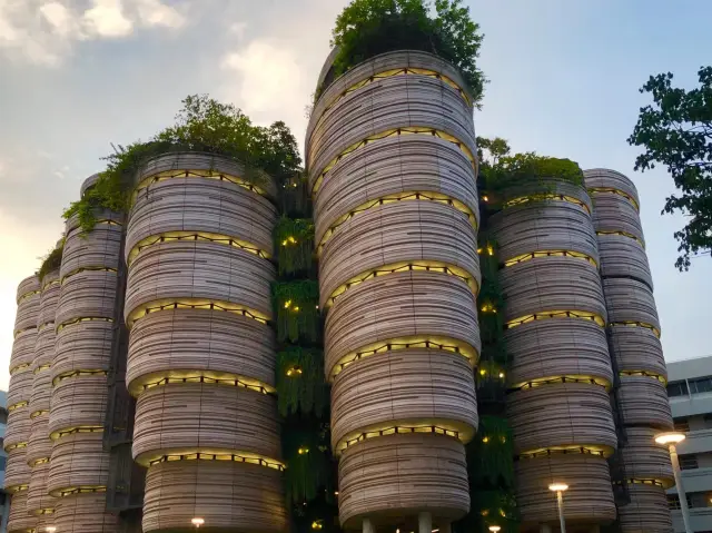 One of the most beautiful universities in Singapore, Nanyang Technological University