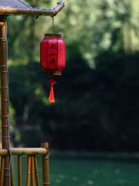大小井剛回來｜能救一個是一個，來抄作業
