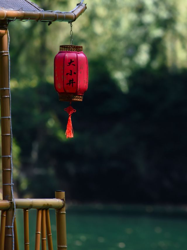 大小井剛回來｜能救一個是一個，來抄作業