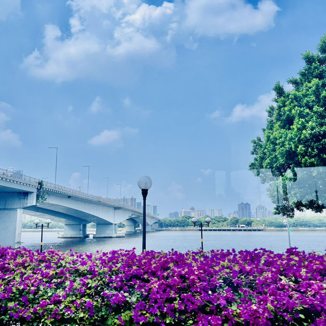 打卡最美7公里🤩🤩廣州海珠有軌電車