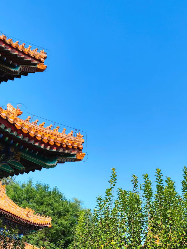 頤和園，皇家園林典範，適合秋遊