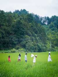 在重慶人間仙境滿眼盡是青翠——習水梧桐山山林裡的民宿。