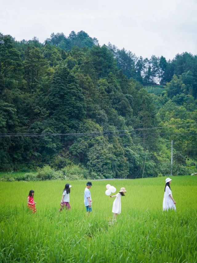 在重慶人間仙境滿眼盡是青翠——習水梧桐山山林裡的民宿。
