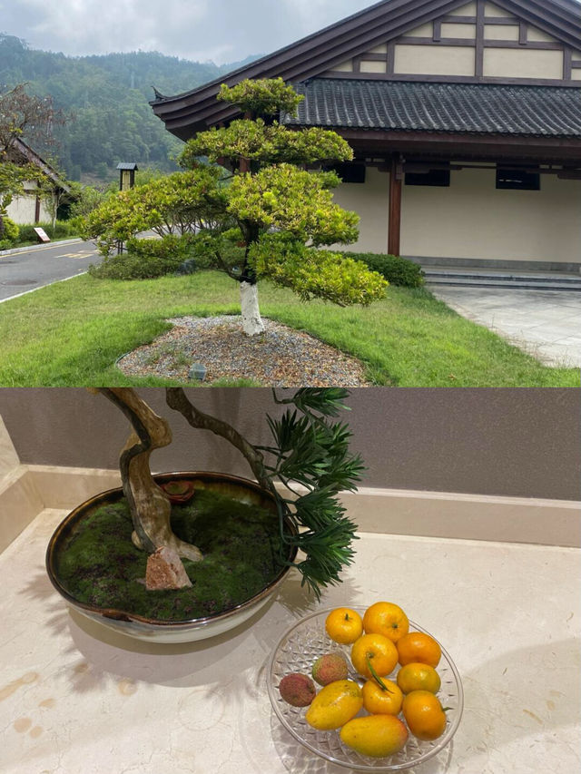 紅河|睡到自然醒的旅行太棒了！下次還來！。