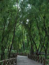 南京魚嘴濕地公園。