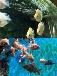 長沙海底世界。