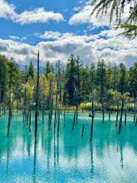 北海道｜一年四季都要去。