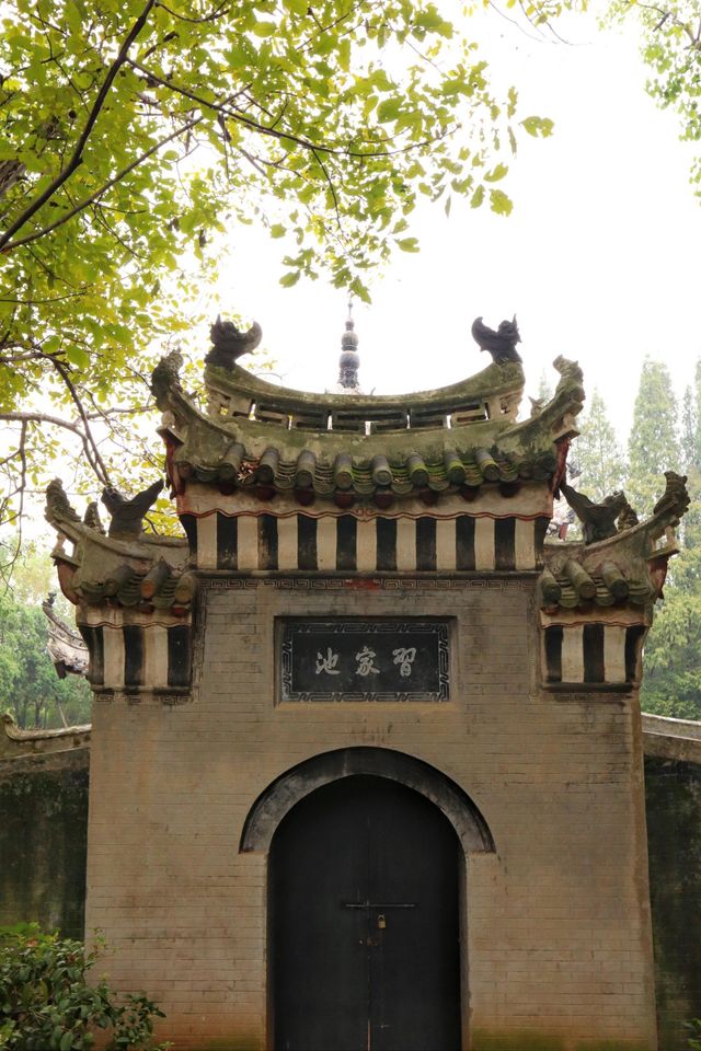 襄陽習家池｜打卡賞楓葉的天花板。