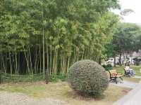 新虹橋中心花園。