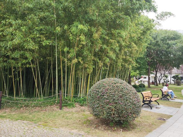 新虹橋中心花園。