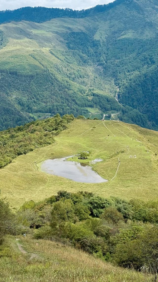 高山草甸五彩秋天｜甘海子。