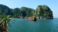洞海：探索神秘的海底世界。